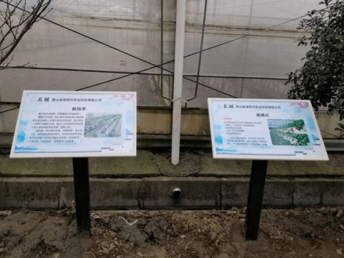 高顏值、高科技、高標準 張浦鎮(zhèn)“三維一體”高質量推進蔬菜基地建設與技術推廣