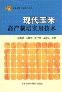 現(xiàn)代玉米高產(chǎn)栽培實用技術(shù)